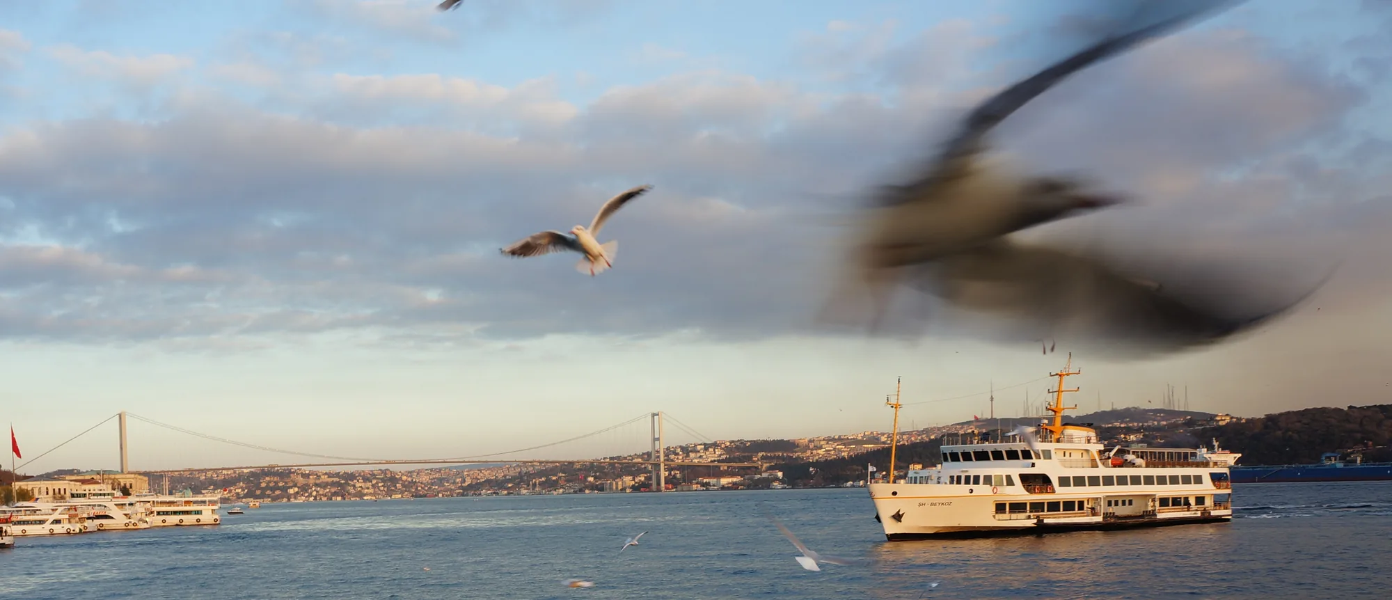 boğazda vapur ve martılar, akşam ışığında